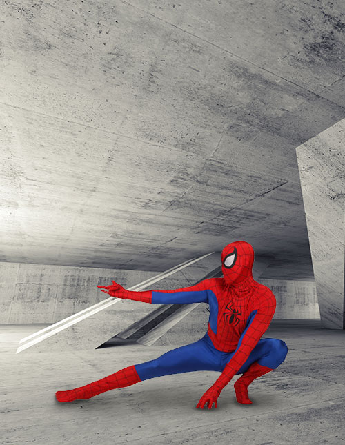 Web ‘Em Up Web ‘Em Up