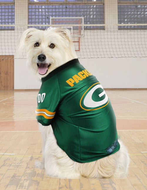 Football dog costumes 
