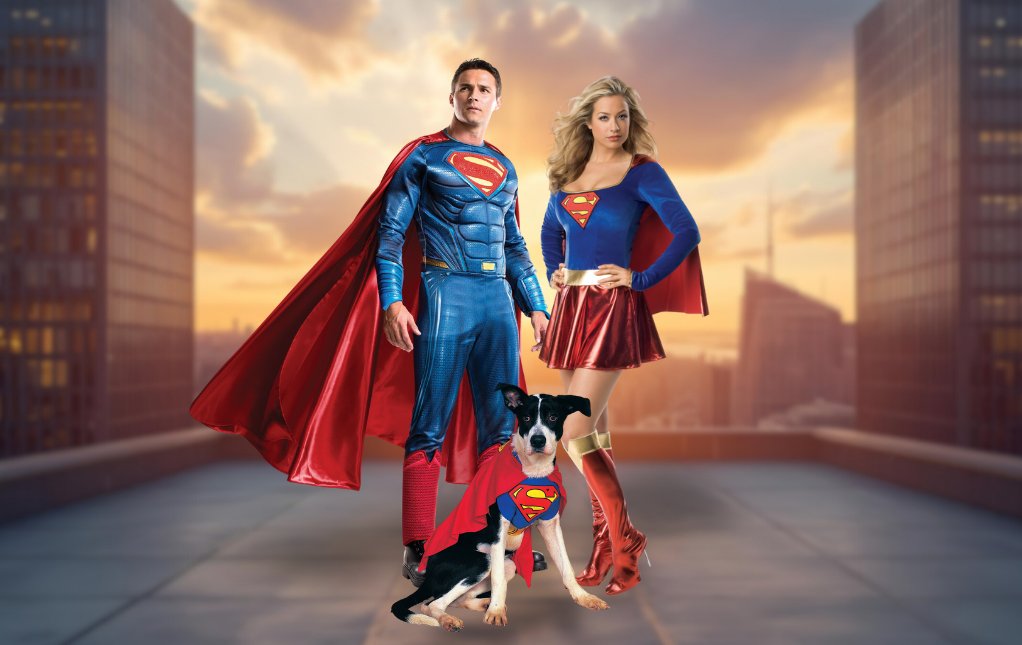 Superman Halloween Costumes