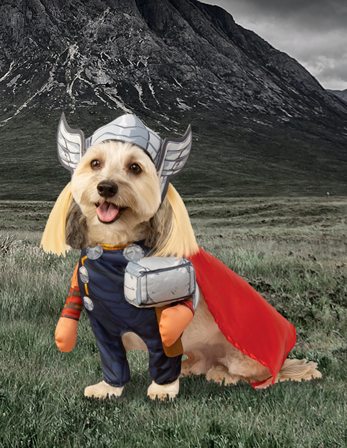 Thor Dog Costumes