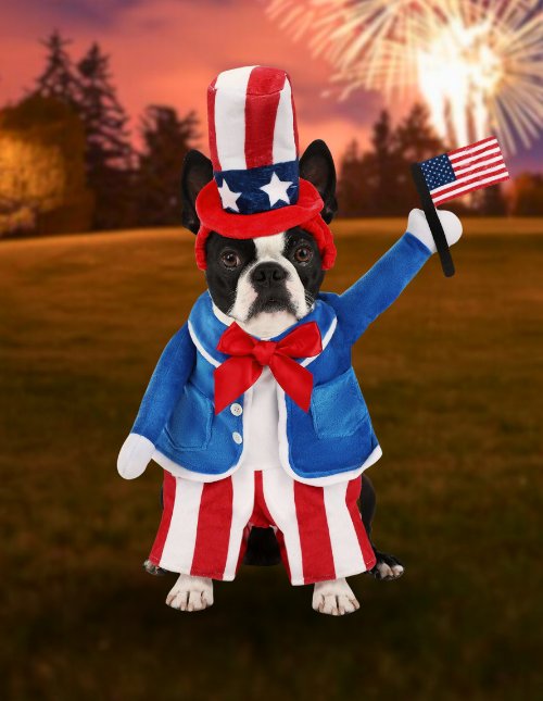 pet-uncle-sam-costume pet-uncle-sam-costume