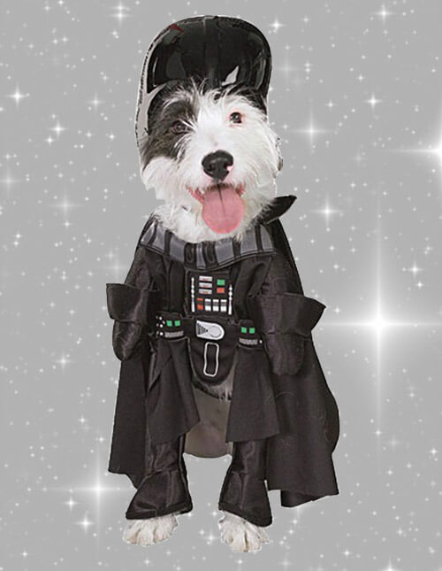 Darth Vader Dog Costume Darth Vader Dog Costume