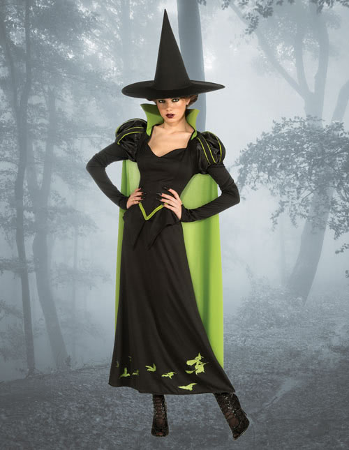 Wicked Witch Costume Wicked Witch Costume