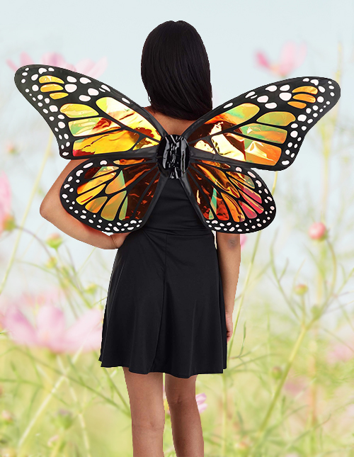 Butterfly Wings