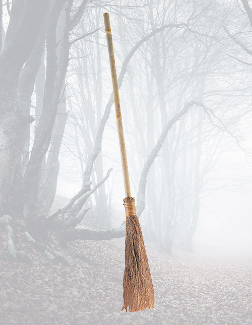 Wicked Witch Broom Wicked Witch Broom