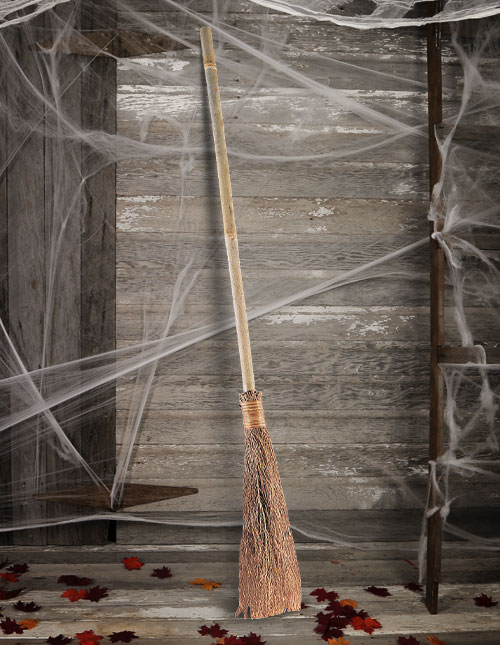 Witch Broom