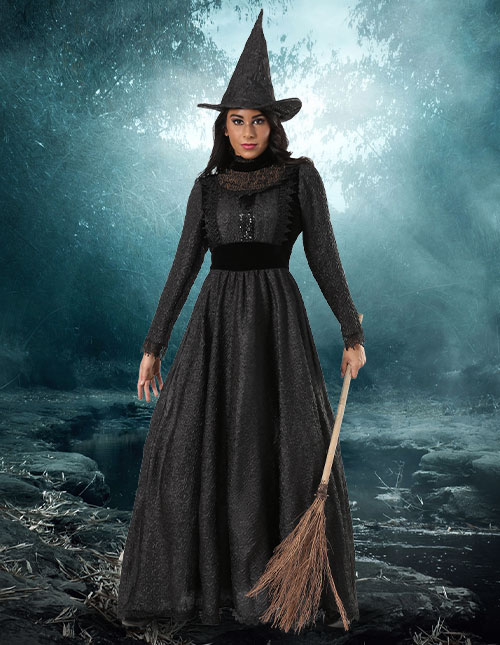 Women's Coven Countess Witch Costume | Costumes for women, Witch dress, Witch  costume