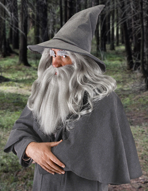 Wizard Costume: Men's Halloween Outfits