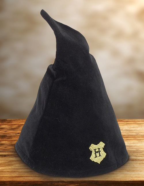 Hogwarts Student Hat