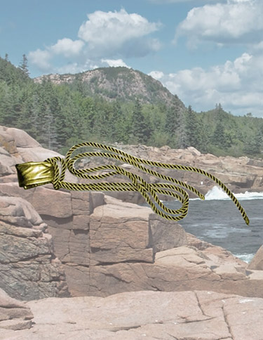 Golden Lasso Golden Lasso