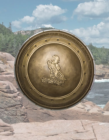 Wonder Woman Shield Wonder Woman Shield