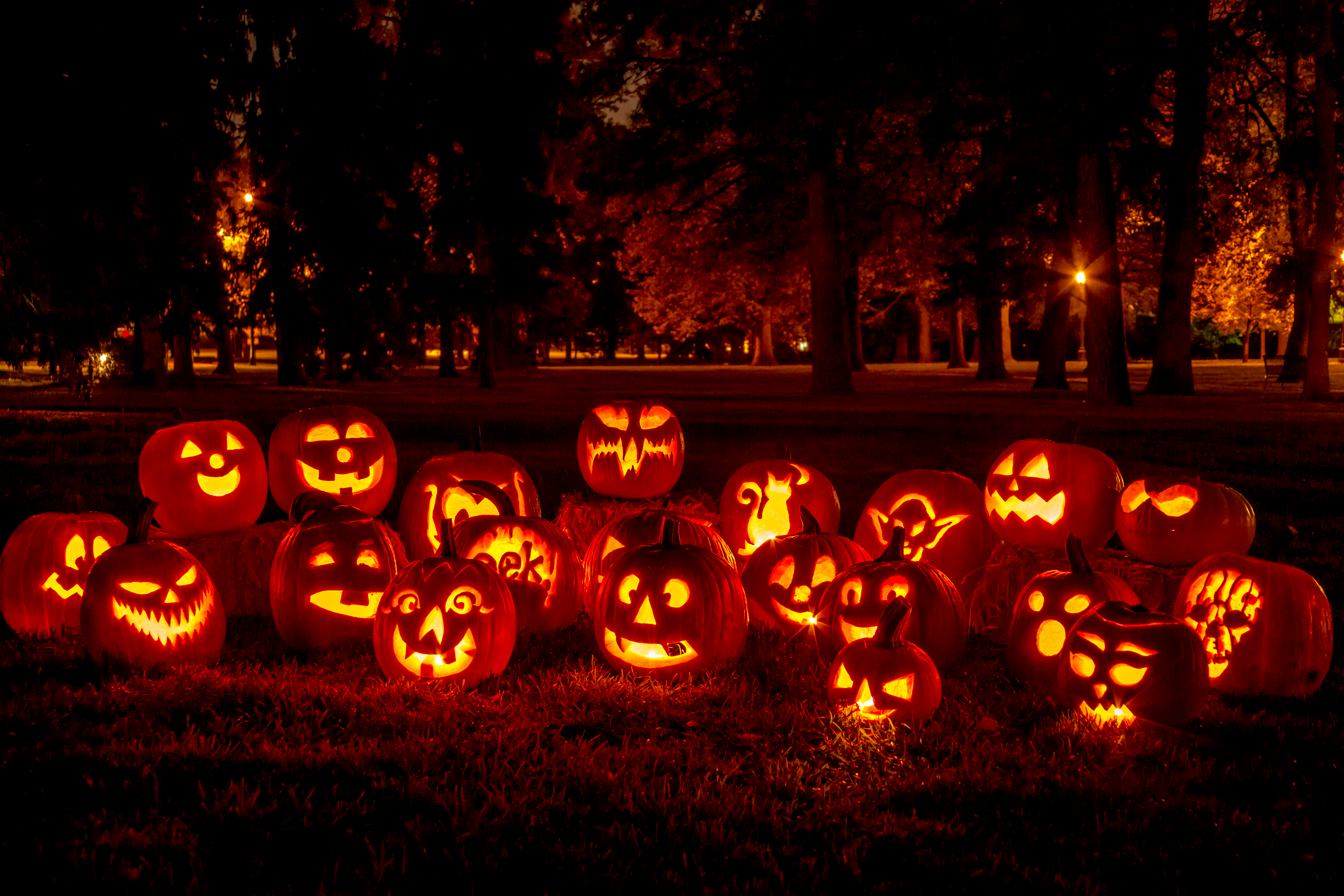 Carved Pumpkins