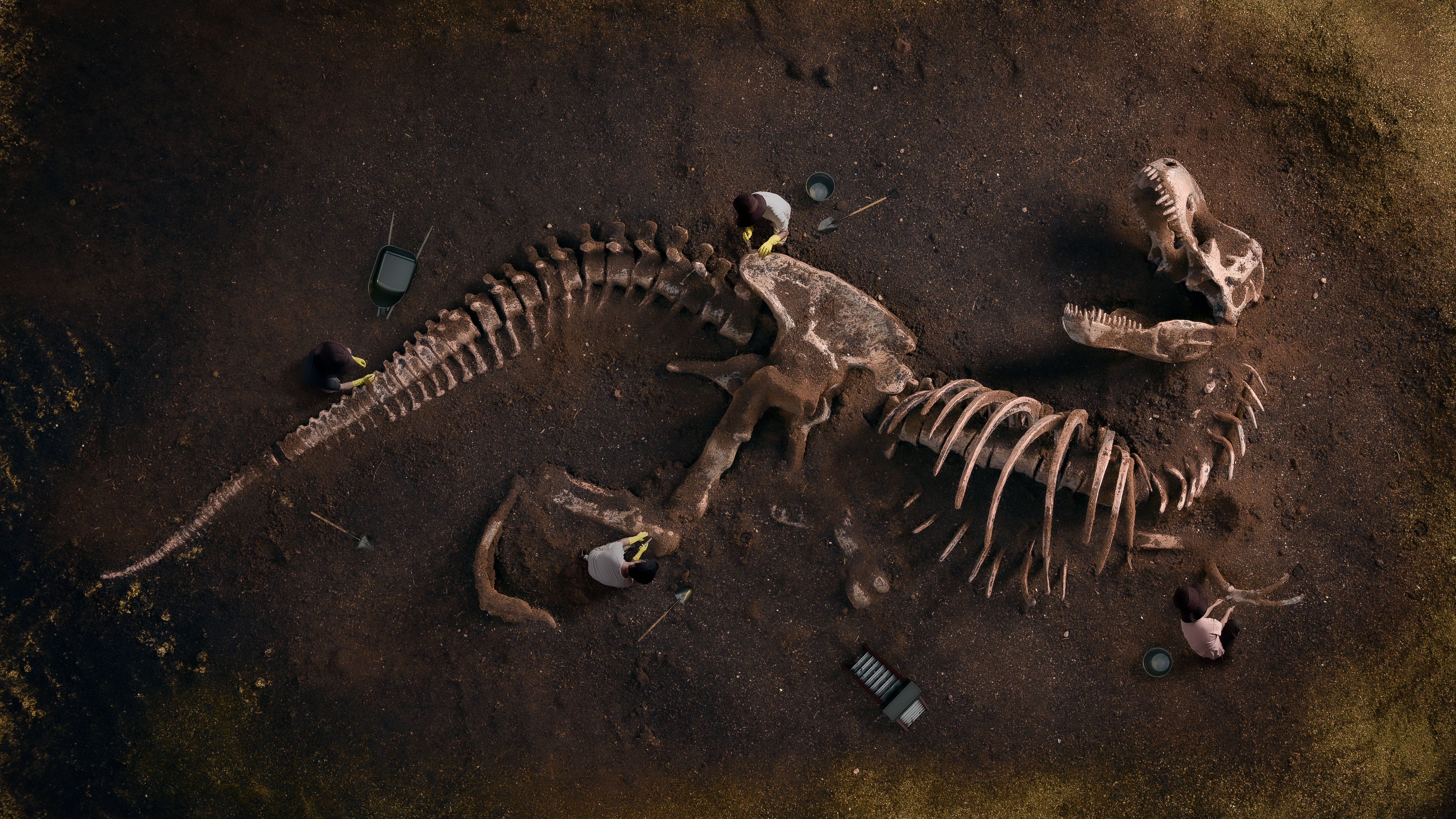Digging Dinosaur Fossil