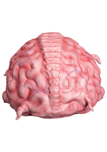 Teenage Mutant Ninja Turtles Krang Life-Sized 1:1 Prop Replica | Collectibles