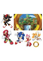 Sonic the Hedgehog Trunk or Treat Kit Alt 1