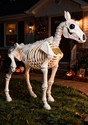 Horse Skeleton Decoration Main 1