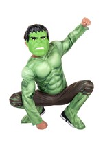 Boys Marvel Hulk Qualux Costume Alt 6