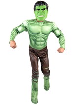 Boys Marvel Hulk Qualux Costume Alt 5