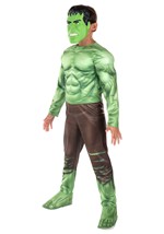 Boys Marvel Hulk Qualux Costume Alt 4