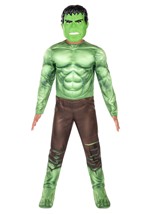 Boys Marvel Hulk Qualux Costume Alt 2