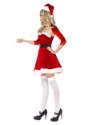 Sexy Santa Babe Costume Image 3