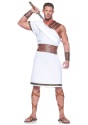 Greek Warrior Costume