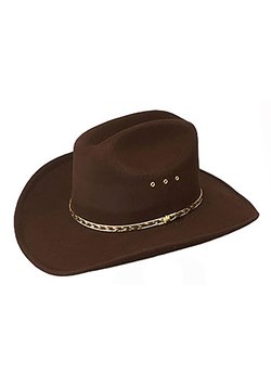 Brown Cowboy Hat Update