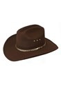 Brown Cowboy Hat Update