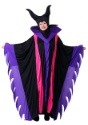 Plus Size Magnificent Witch Costume1
