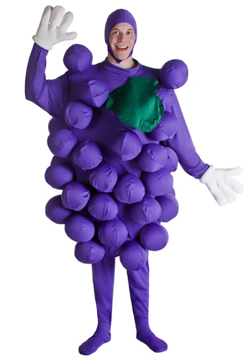 Purple Grapes Costume for Adults