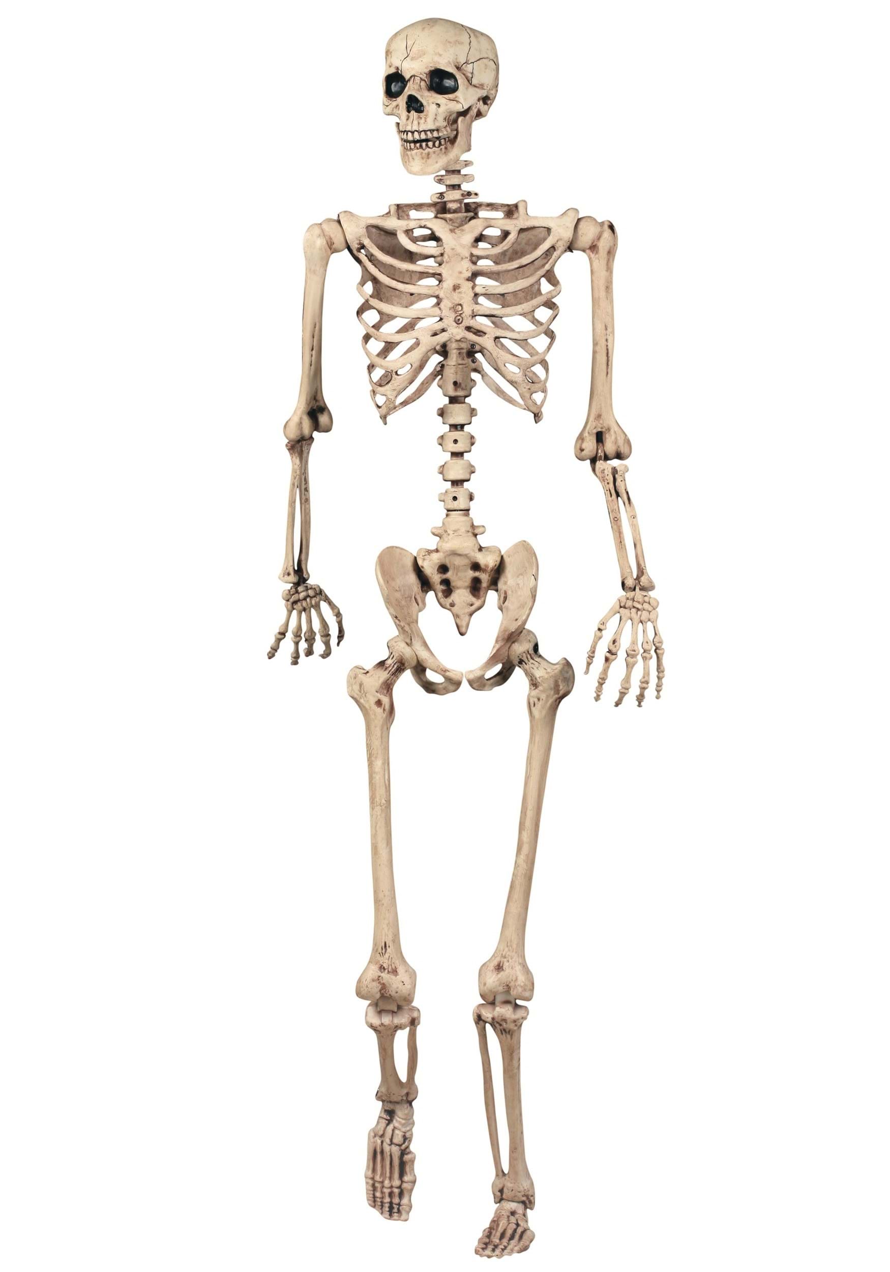 Poseable 5.6' Crazy Skeleton Skull Pose-N-Stay Life Size Halloween Party Decor 