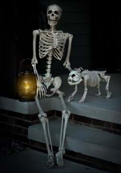 Lifesize Poseable Skeleton update