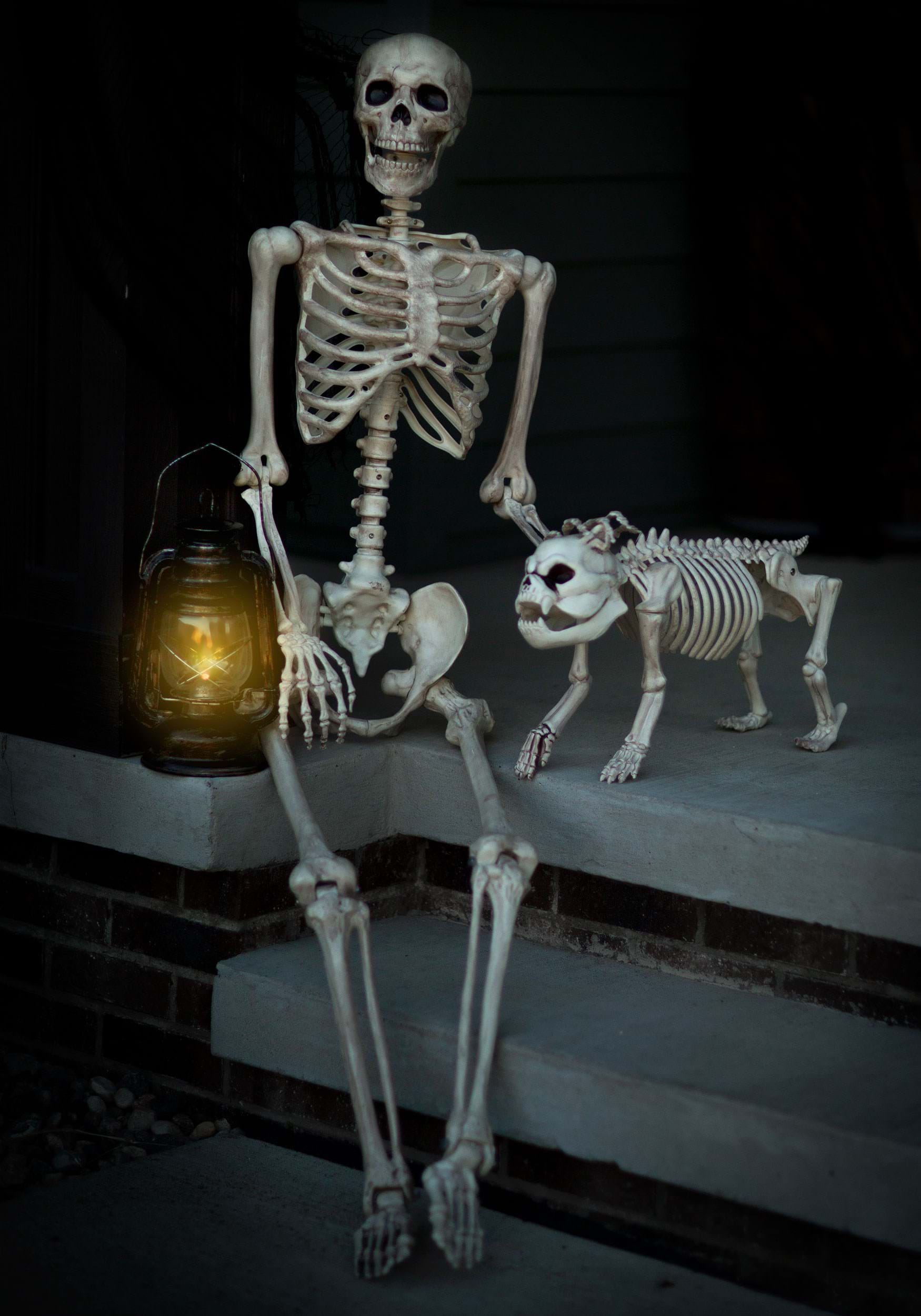  Skeleton Dog Skeleton for Halloween Decorations, Realistic  Poseable Animal Skeleton Life Size, Halloween Skeleton Dog Decorations  Puppet Outdoor Patio Bones Model Prop : Patio, Lawn & Garden