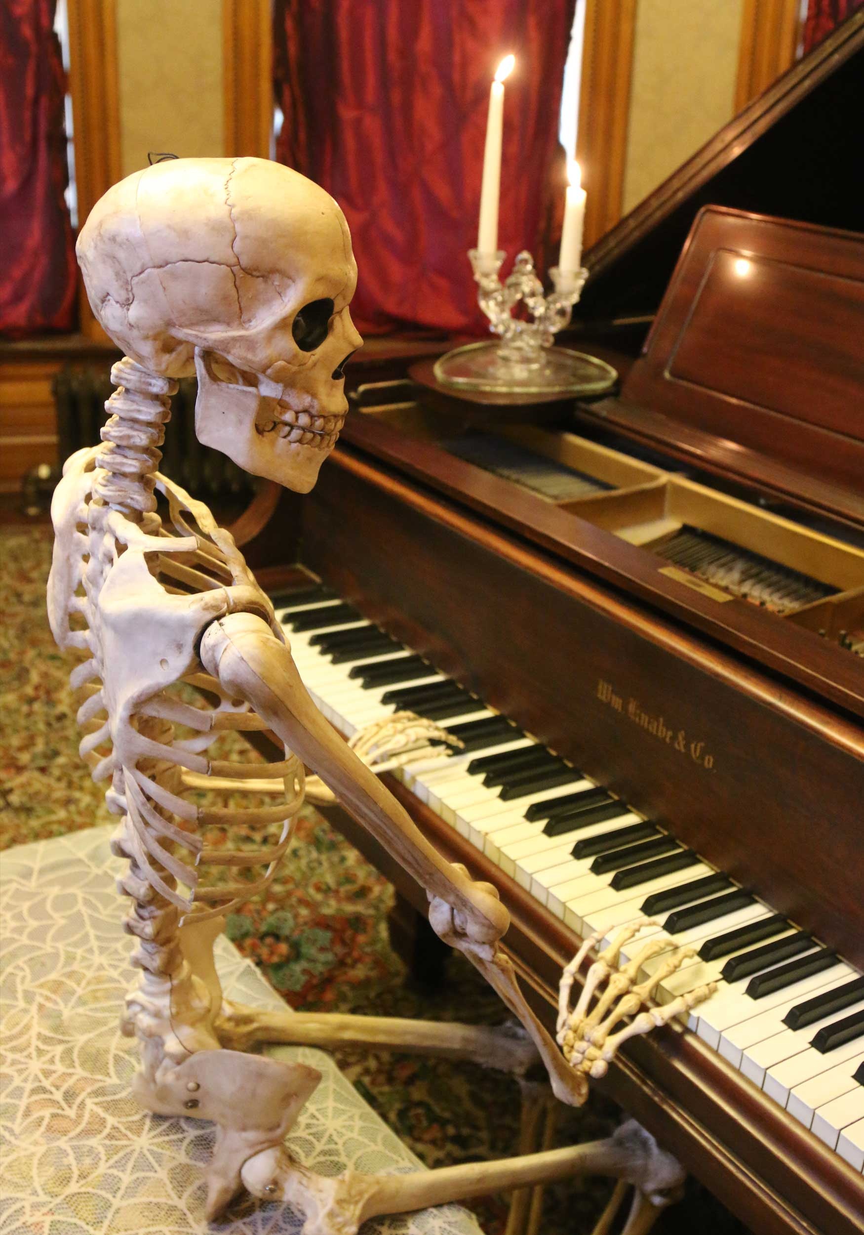 MZSHM Halloween Prop Skeleton Full Size Skeleton Skull Hand Lifelike Human Body Poseable Anatomy Model Party Festival Decoration