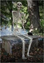 Lifesize Poseable Skeleton Scene