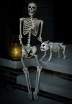 Realistic Poseable Skeleton Prop