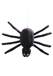 Dropping Black Spider
