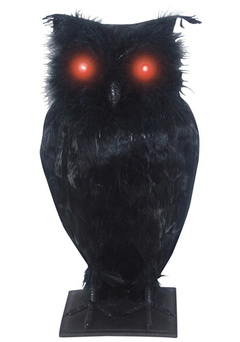 Light Up Black Owl