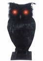 Light Up Black Owl