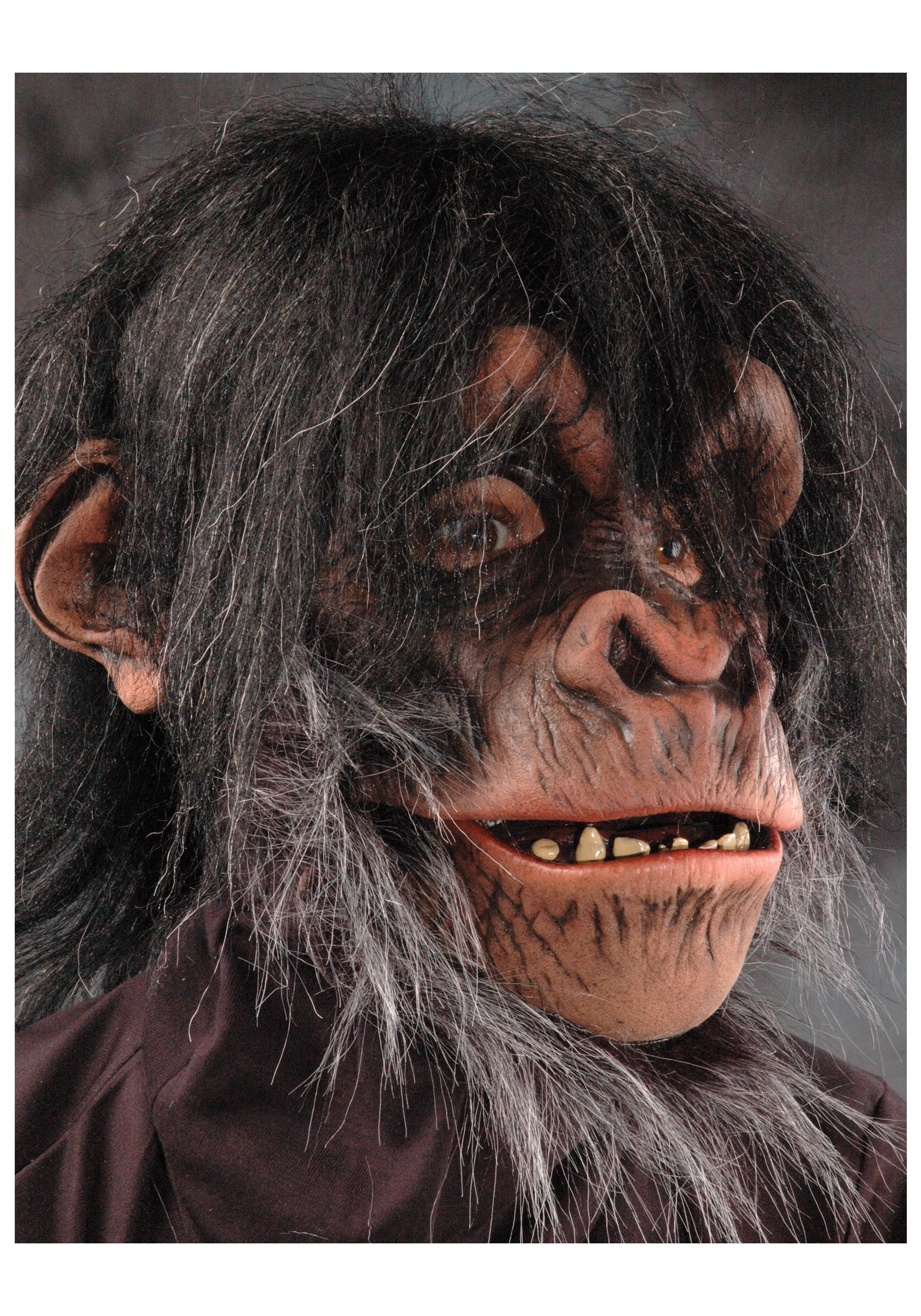 Máscara de chimpancé peluda realista Multicolor Colombia