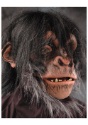 Chimp Mask