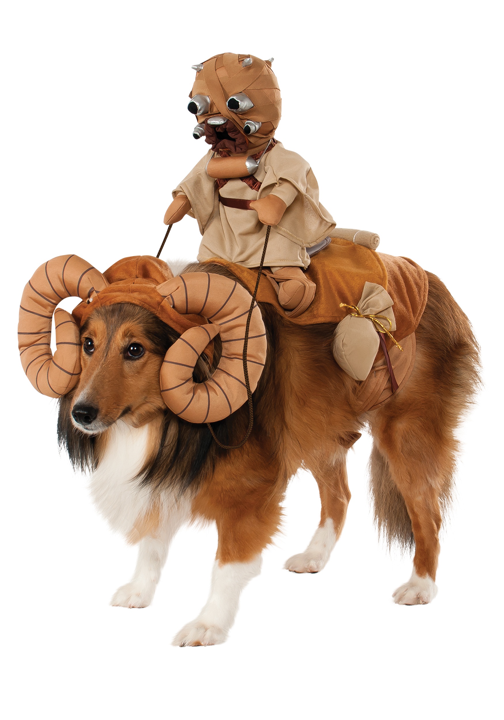 Dog Costumes