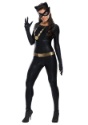 Catwoman Classic Series Grand Heritage Costume