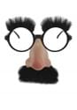 Groucho Glasses Alt 1