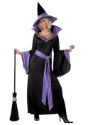 Glamour Witch Incantasia Costume