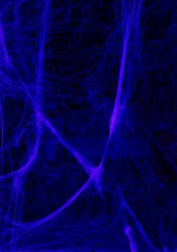 200 Square FT Glow in the Dark Super Glow Spider Webs Decoration | Spider Webs