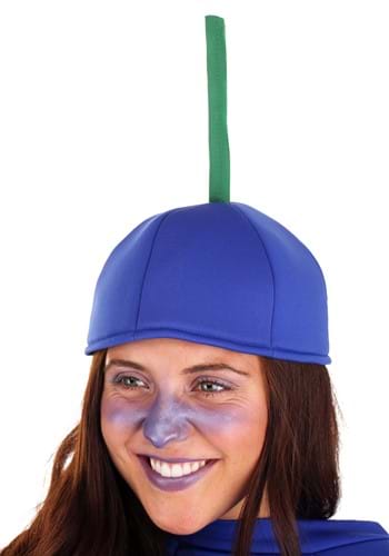 Adult Blueberry Costume