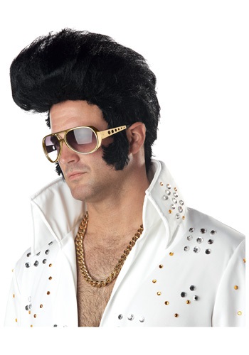 Rock Legend Costume Wig