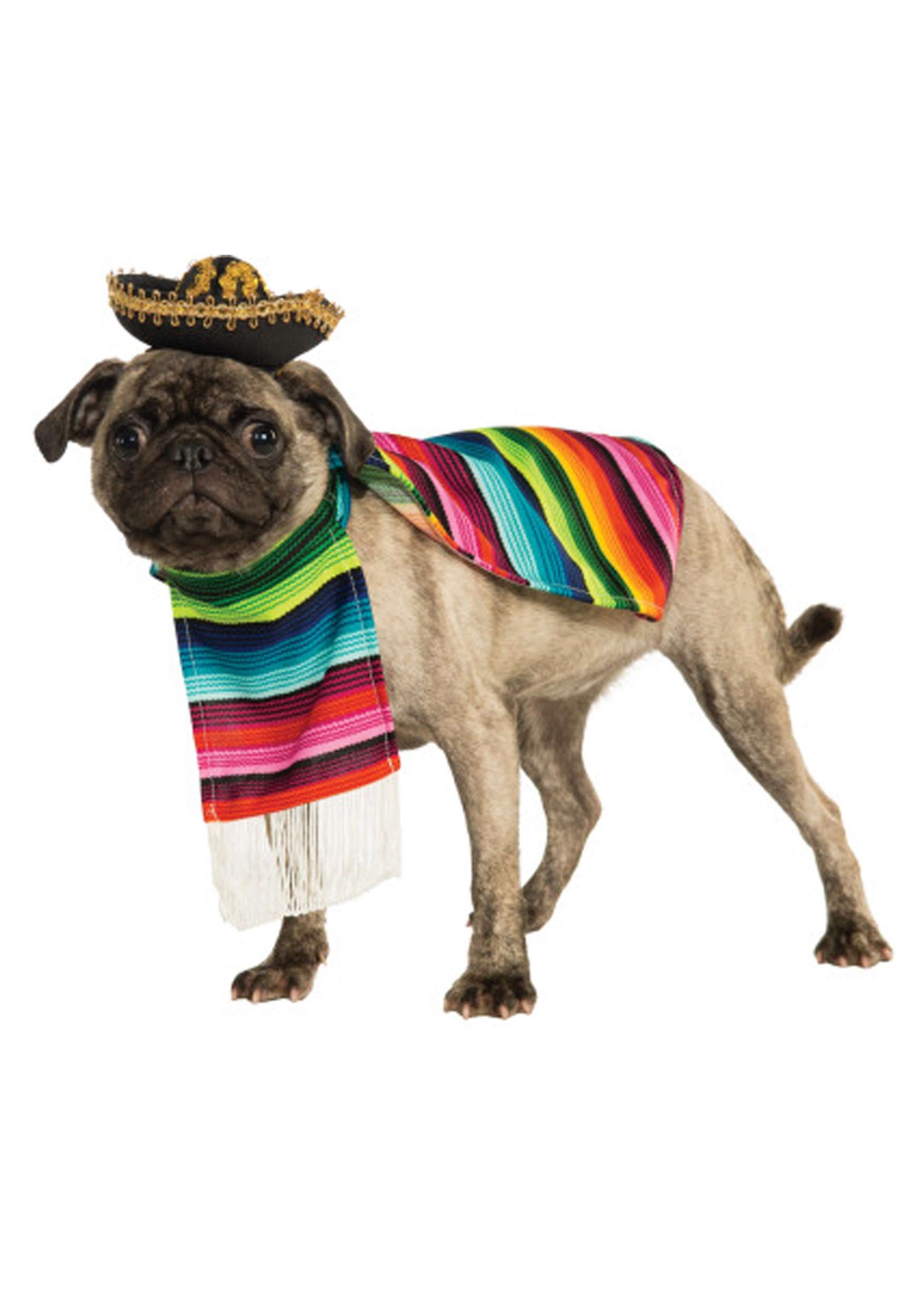 Disfraz de serape mexicano para mascotas Multicolor