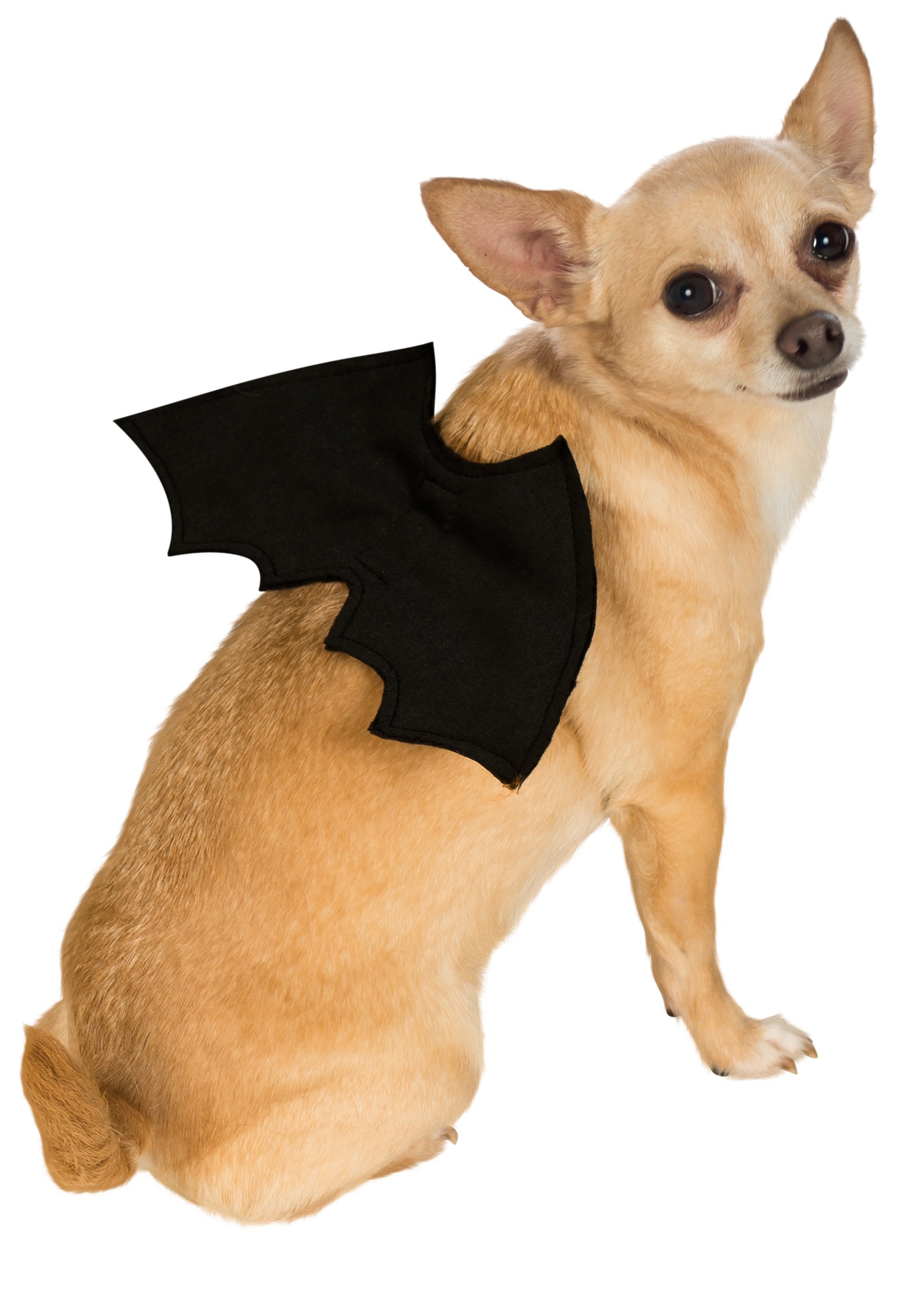Dog Costumes For People